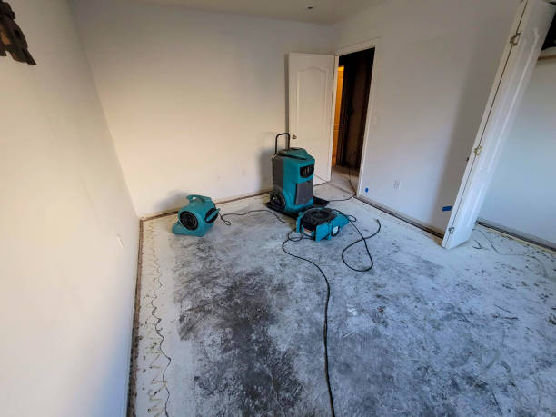 Best Water damage restoration near me  in Village Of Waukesha, WI